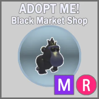Black Macaque MR
