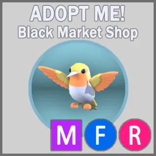 Golden Hummingbird MFR