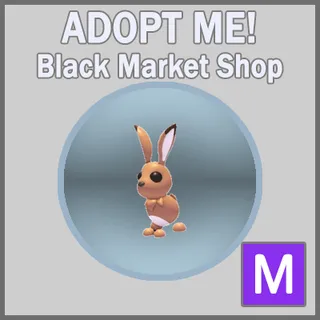 Hare M