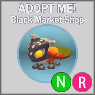 Tri-horned Treehopper NR