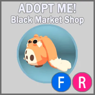 Cabbit FR