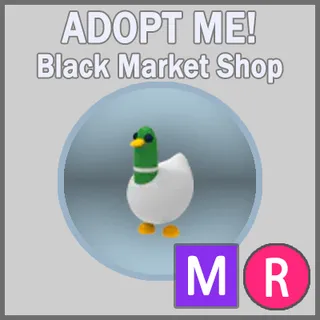 Silly Duck MR