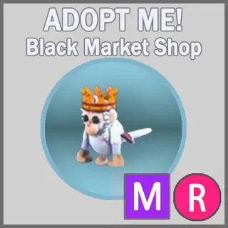 Royal Capuchin Monkey MR