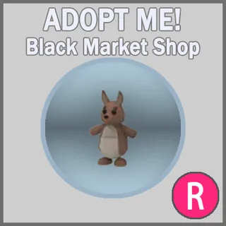 Kangaroo R