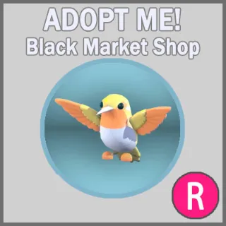 Golden Hummingbird R