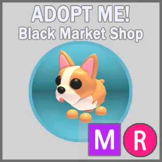 French Bulldog MR