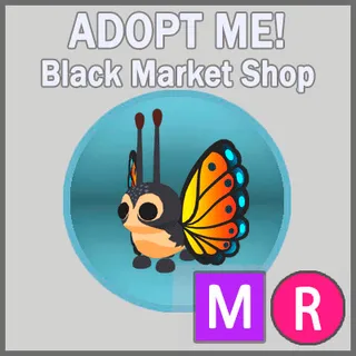 Mirai Moth MR