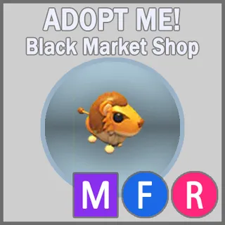 Steppe Lion MFR