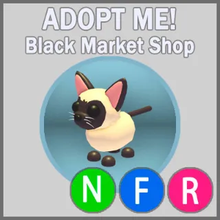 Siamese Cat NFR