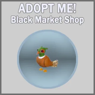 Brown-Chested Pheasant