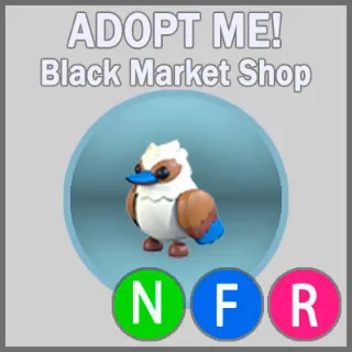 Kookaburra NFR