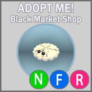 White Sand Dollar NFR 