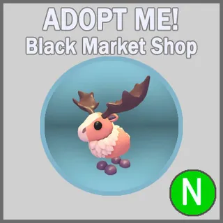 Papa Moose N