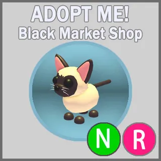 Siamese Cat NR