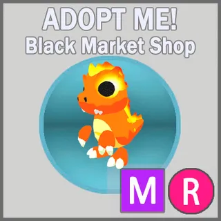 Scorching Kaijunior MR