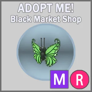 Green Butterfly MR