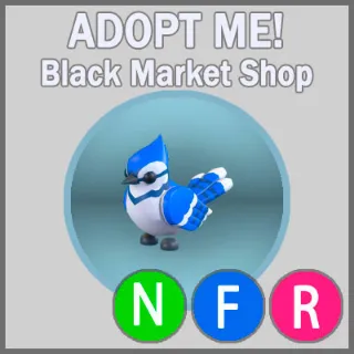 Blue Jay NFR