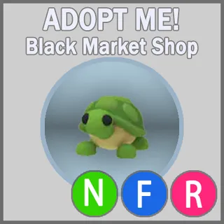 Turtle NFR
