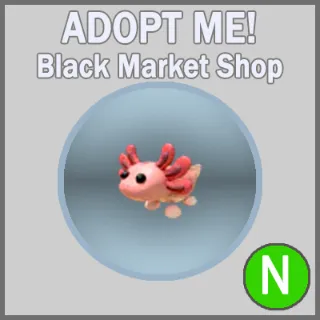 Axolotl N