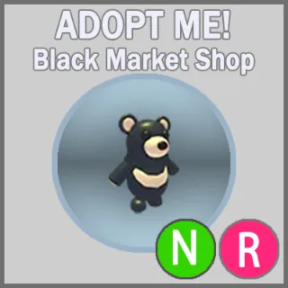 Black Moon Bear NR