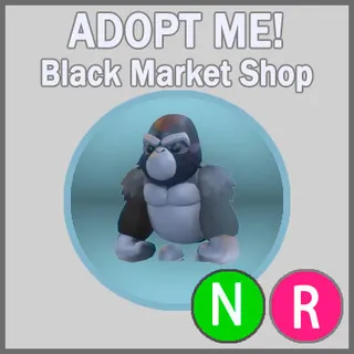 Silverback Gorilla NR