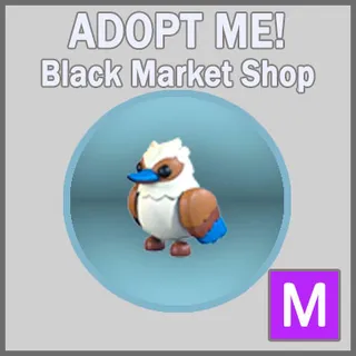 Kookaburra M