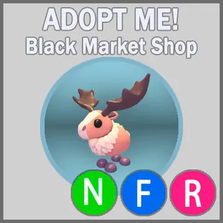 Papa Moose NFR