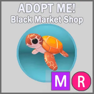 Sea Turtle MR