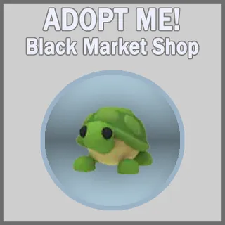 Turtle