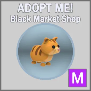 Ginger Cat M