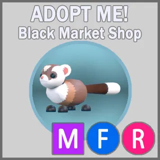 Black-Footed Ferret MFR