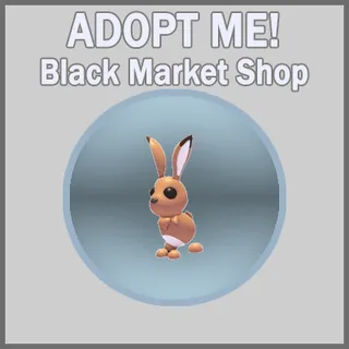 Hare