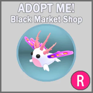 Sea Slug R