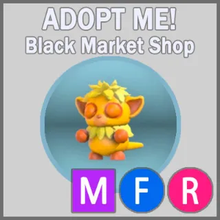 Island Tarsier MFR