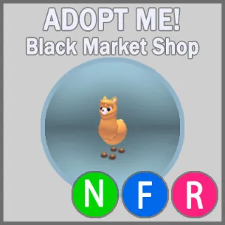 Alpaca NFR