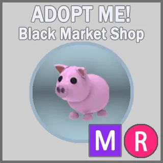 Pig MR