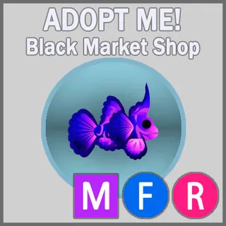 Singularity Pisces MFR