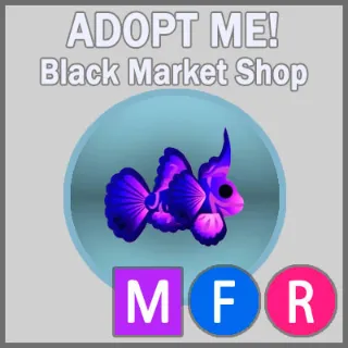 Singularity Pisces MFR