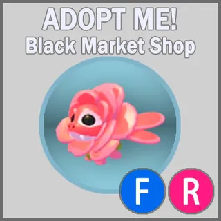 Rose Dragon FR