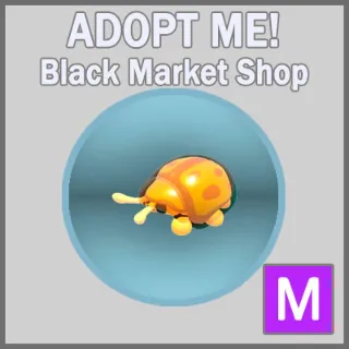 Golden Tortoise Beetle M