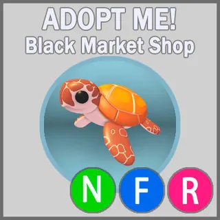 Sea Turtle NFR