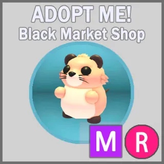 Muskrat MR