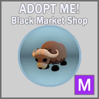 Musk Ox M