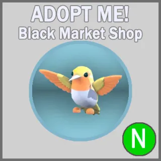 Golden Hummingbird N