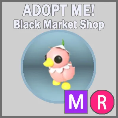 รายการภาพถ่าย