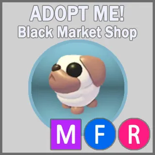 Snowball Pug MFR
