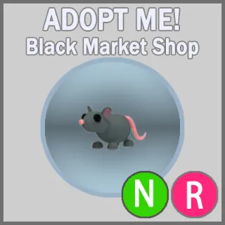 Rat NR