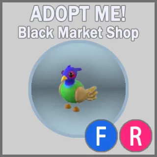 Green-Chested Pheasant FR