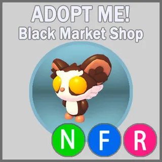 Aye Aye NFR