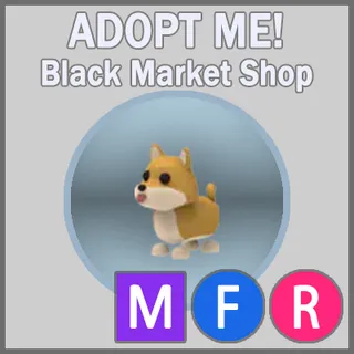 Shiba Inu MFR